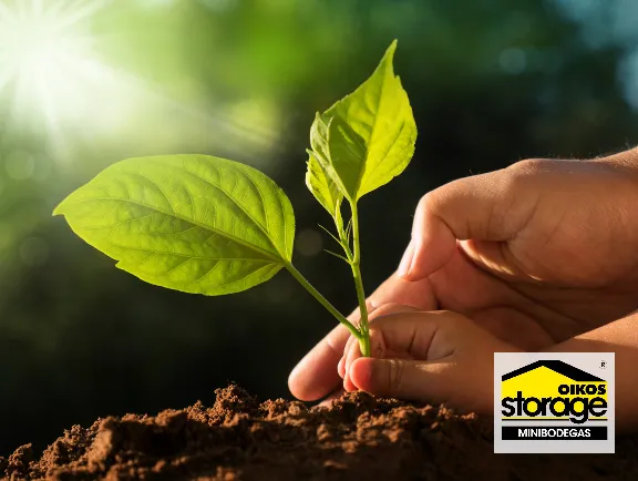Biodiversidad – Día del Medio Ambiente
