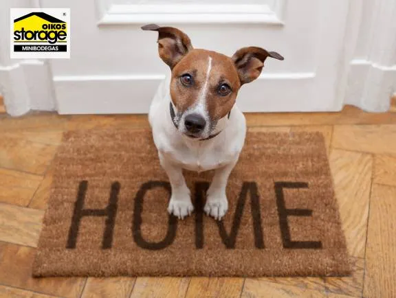 Espacio para mascotas en casa
